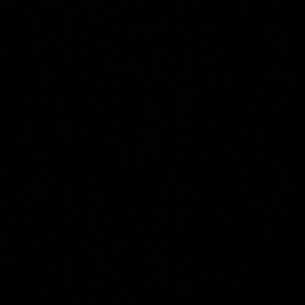 Meet your Posher, Angelica